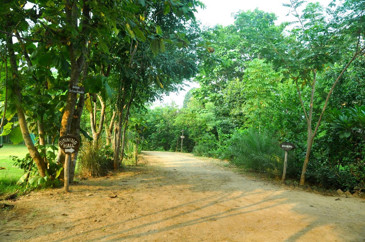 The Riverwood Forest Retreat Pench Khawāsa Kültér fotó